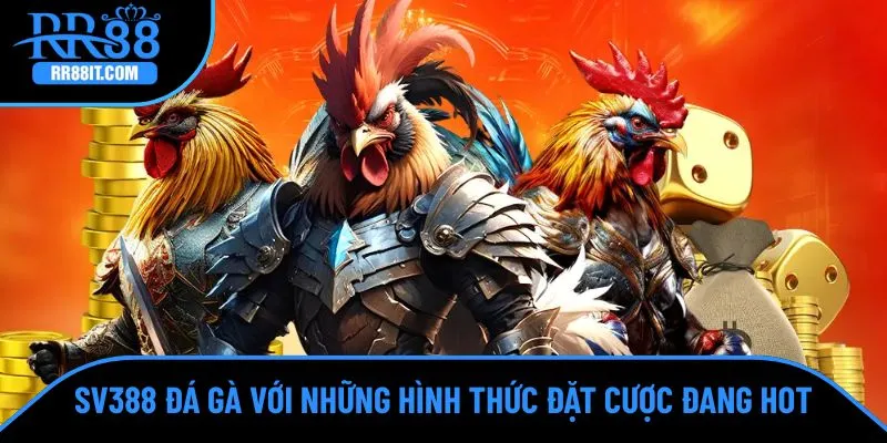 Tại đây mang đến nhiều hình thức cược đang hot